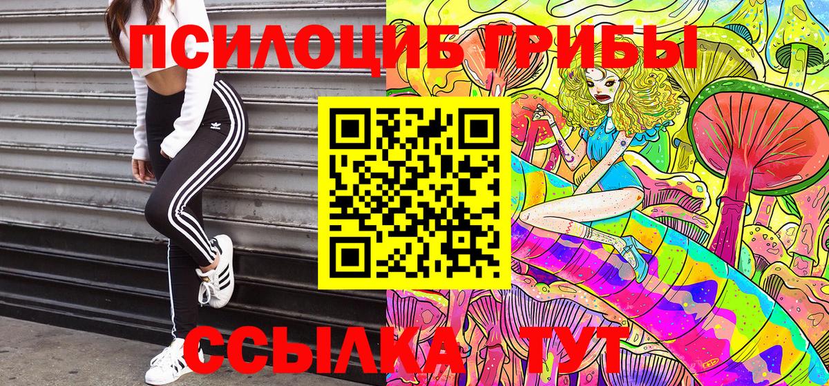 Шатура  Псилоцибиновые грибы ЛСД  Галлюциногенные грибы Cubensis  Вход с VPN 